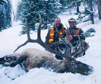 Elk From Horseback - page 49 Issue 26